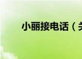 小丽接电话（关于小丽接电话介绍）
