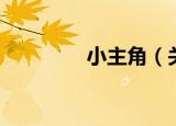 小主角（关于小主角介绍）