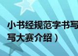 小书经规范字书写大赛（关于小书经规范字书写大赛介绍）