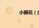 小丽花（关于小丽花介绍）
