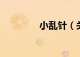 小乱针（关于小乱针介绍）