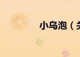 小乌泡（关于小乌泡介绍）