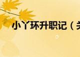 小丫环升职记（关于小丫环升职记介绍）