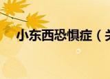 小东西恐惧症（关于小东西恐惧症介绍）