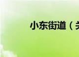 小东街道（关于小东街道介绍）
