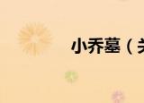 小乔墓（关于小乔墓介绍）