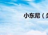 小东尼（关于小东尼介绍）