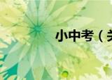 小中考（关于小中考介绍）