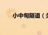 小中甸隧道（关于小中甸隧道介绍）
