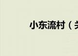 小东流村（关于小东流村介绍）
