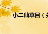 小二仙草目（关于小二仙草目介绍）