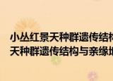 小丛红景天种群遗传结构与亲缘地理学研究（关于小丛红景天种群遗传结构与亲缘地理学研究介绍）