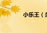小乐王（关于小乐王介绍）
