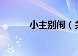 小主别闹（关于小主别闹介绍）