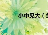 小中见大（关于小中见大介绍）
