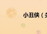 小丑侠（关于小丑侠介绍）