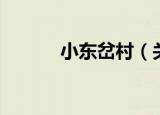 小东岔村（关于小东岔村介绍）