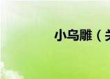 小乌雕（关于小乌雕介绍）
