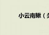 小云南鳅（关于小云南鳅介绍）