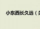 小东西长久远（关于小东西长久远介绍）