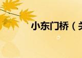 小东门桥（关于小东门桥介绍）