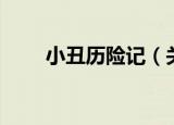 小丑历险记（关于小丑历险记介绍）
