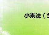 小乘法（关于小乘法介绍）