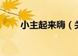 小主起来嗨（关于小主起来嗨介绍）