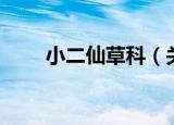 小二仙草科（关于小二仙草科介绍）