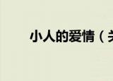 小人的爱情（关于小人的爱情介绍）
