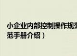 小企业内部控制操作规范手册（关于小企业内部控制操作规范手册介绍）