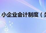 小企业会计制度（关于小企业会计制度介绍）