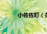 小佐佐町（关于小佐佐町介绍）