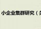 小企业集群研究（关于小企业集群研究介绍）