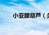 小亚腰葫芦（关于小亚腰葫芦介绍）