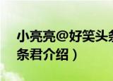 小亮亮@好笑头条君（关于小亮亮@好笑头条君介绍）