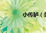 小传胪（关于小传胪介绍）