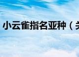 小云雀指名亚种（关于小云雀指名亚种介绍）