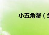 小五角蟹（关于小五角蟹介绍）
