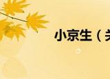 小京生（关于小京生介绍）