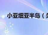 小亚细亚半岛（关于小亚细亚半岛介绍）