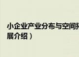 小企业产业分布与空间拓展（关于小企业产业分布与空间拓展介绍）