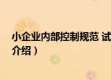 小企业内部控制规范 试行（关于小企业内部控制规范 试行介绍）