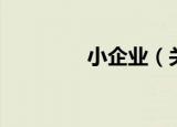 小企业（关于小企业介绍）