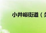 小井峪街道（关于小井峪街道介绍）