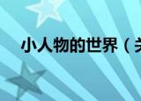 小人物的世界（关于小人物的世界介绍）