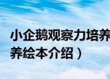 小企鹅观察力培养绘本（关于小企鹅观察力培养绘本介绍）