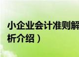 小企业会计准则解析（关于小企业会计准则解析介绍）