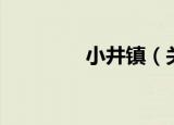 小井镇（关于小井镇介绍）