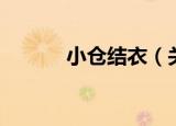 小仓结衣（关于小仓结衣介绍）